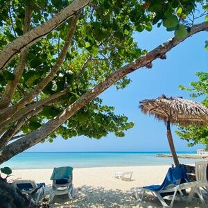 Meet your Posher, Johanna